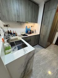 Leedon Green (D10), Condominium #634042831